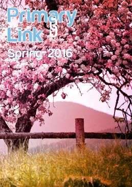 Primary Link Issue 2 Frontcover