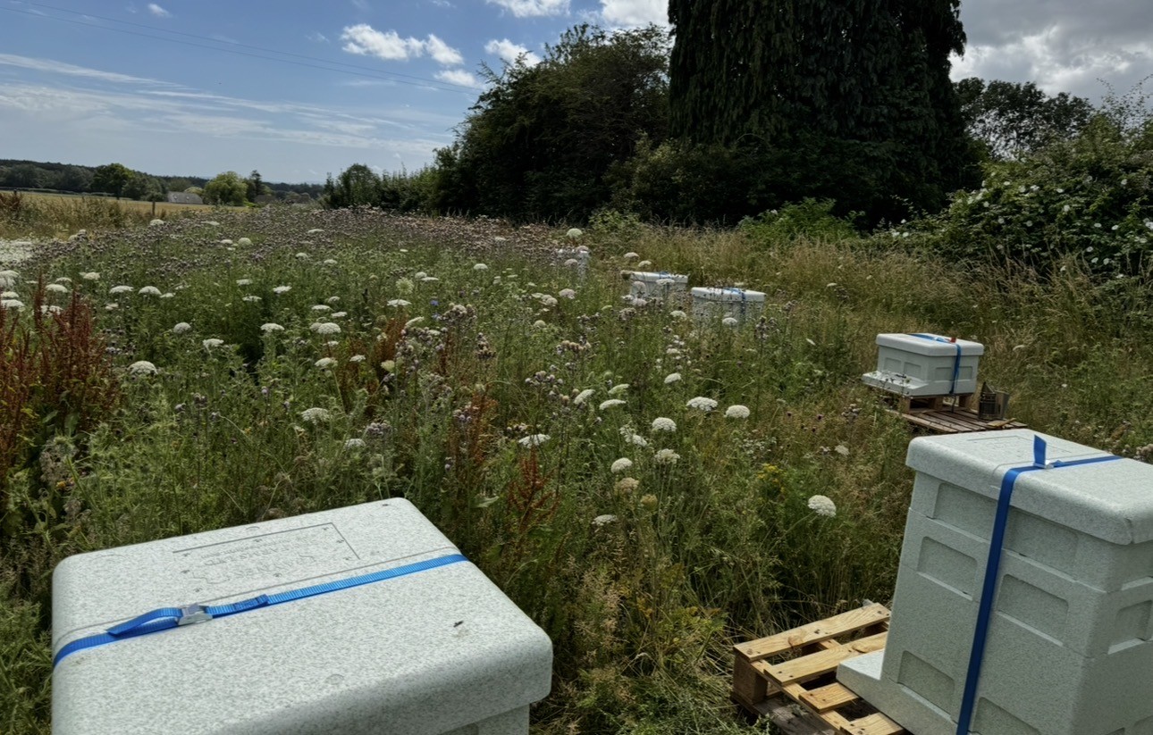 Park Community School Farm - View 6